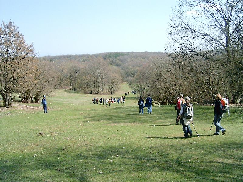 20100417 051.jpg